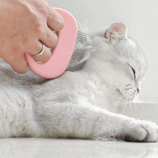 Dog Deterrence device