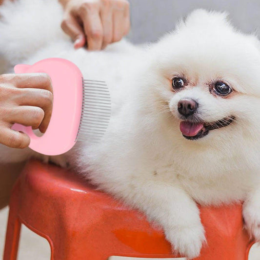 Dog Deterrence device